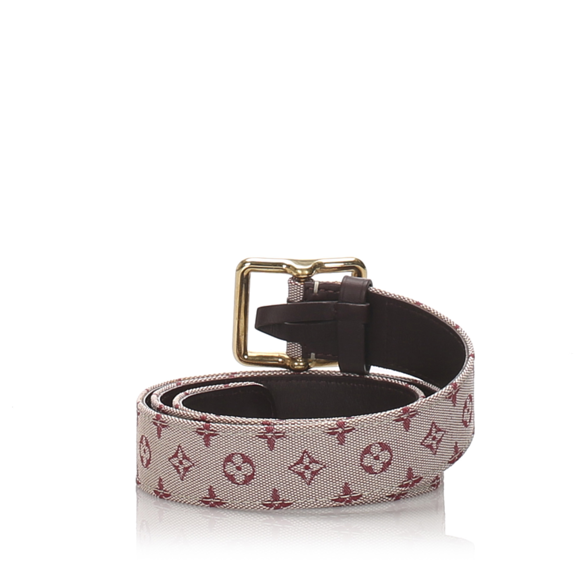 What Material Is Louis Vuitton Monogram